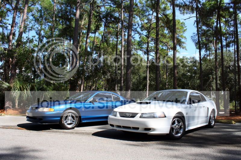 IMG_1020smaller.jpg