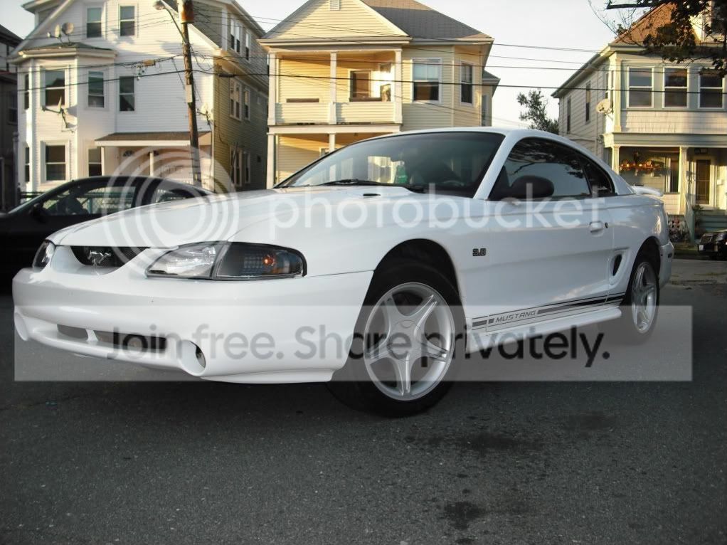 STANG.jpg