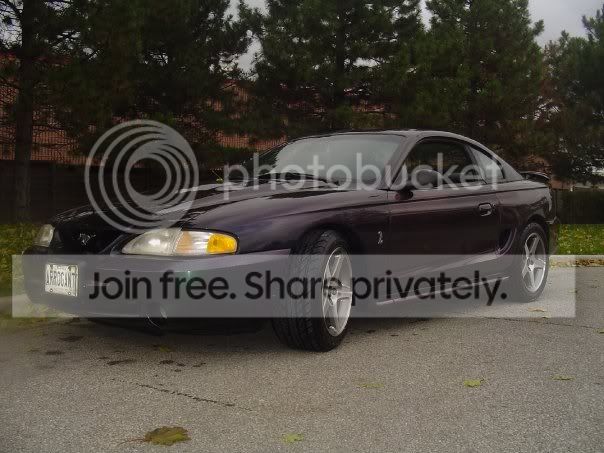 96cobra.jpg