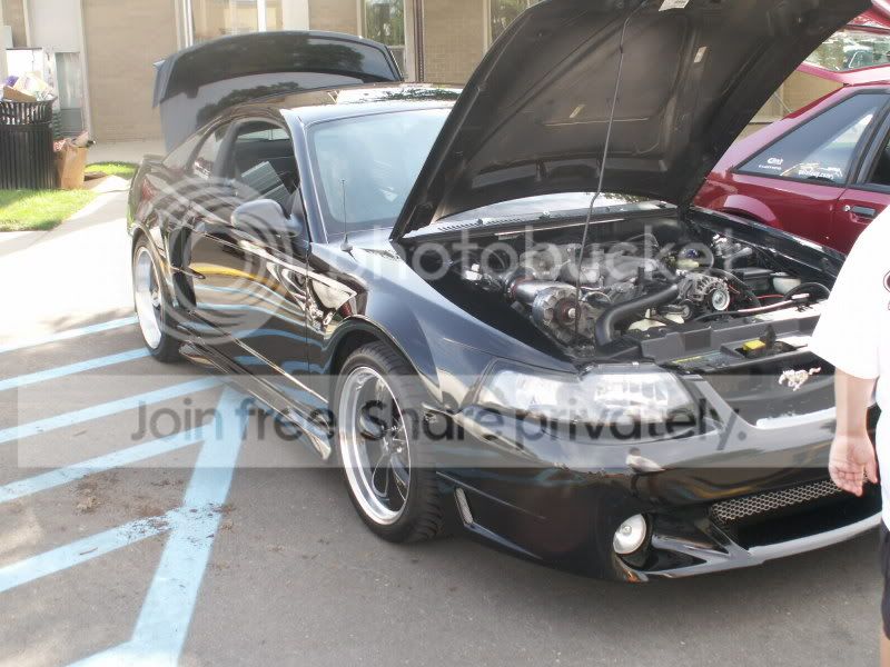 Mustangs092.jpg