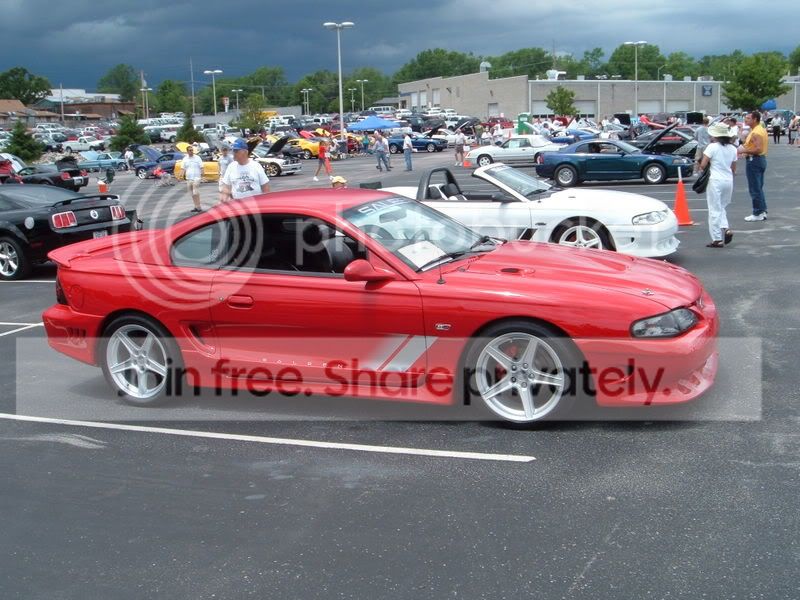 DSCF2423.jpg