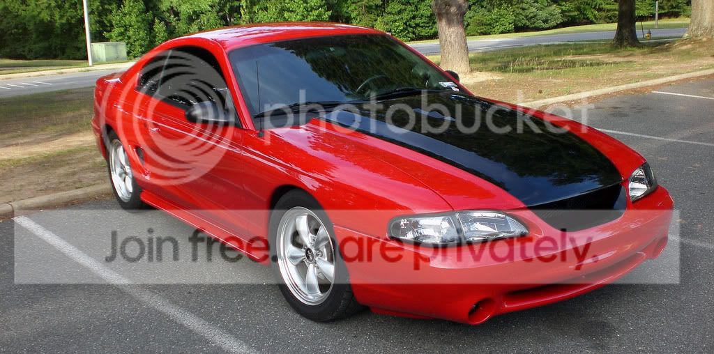 Stang13.jpg