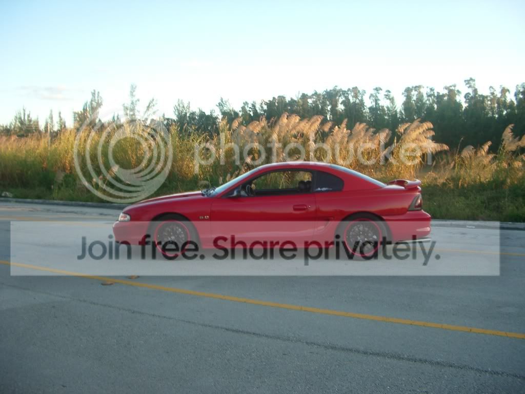 IMGP4736.jpg