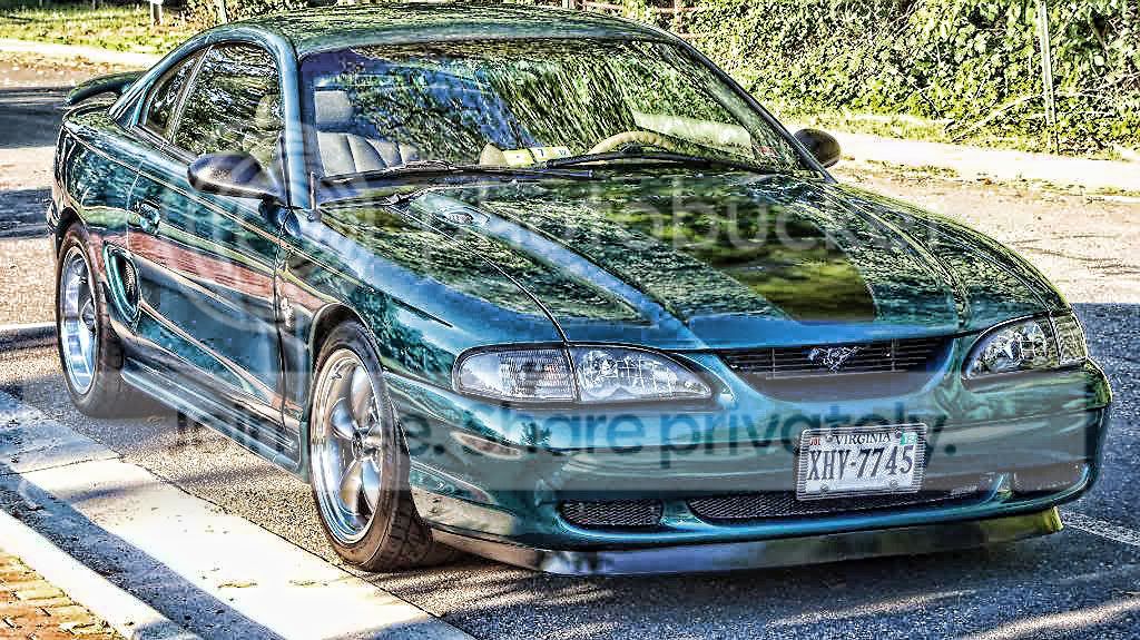 PICS8-22-11018PaintedStang.jpg