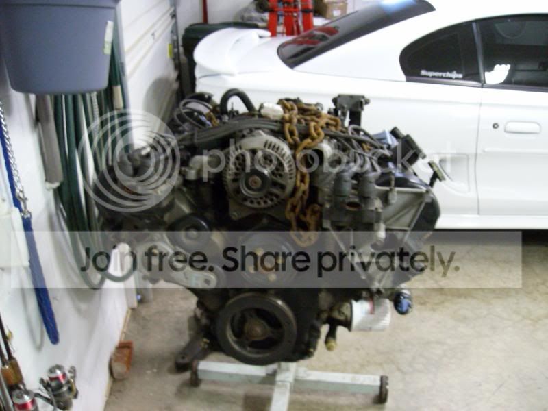 SANY0435.jpg