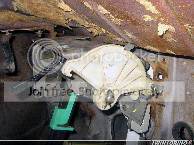 texas_mustang_pedals_002.jpg