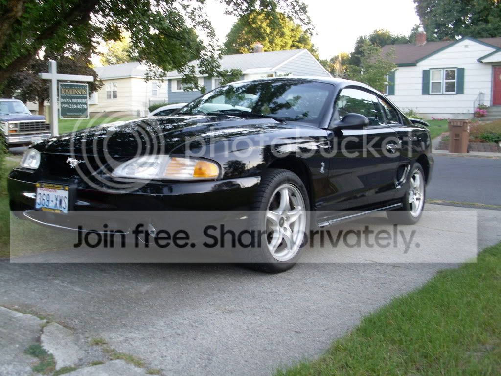 SL372193.jpg