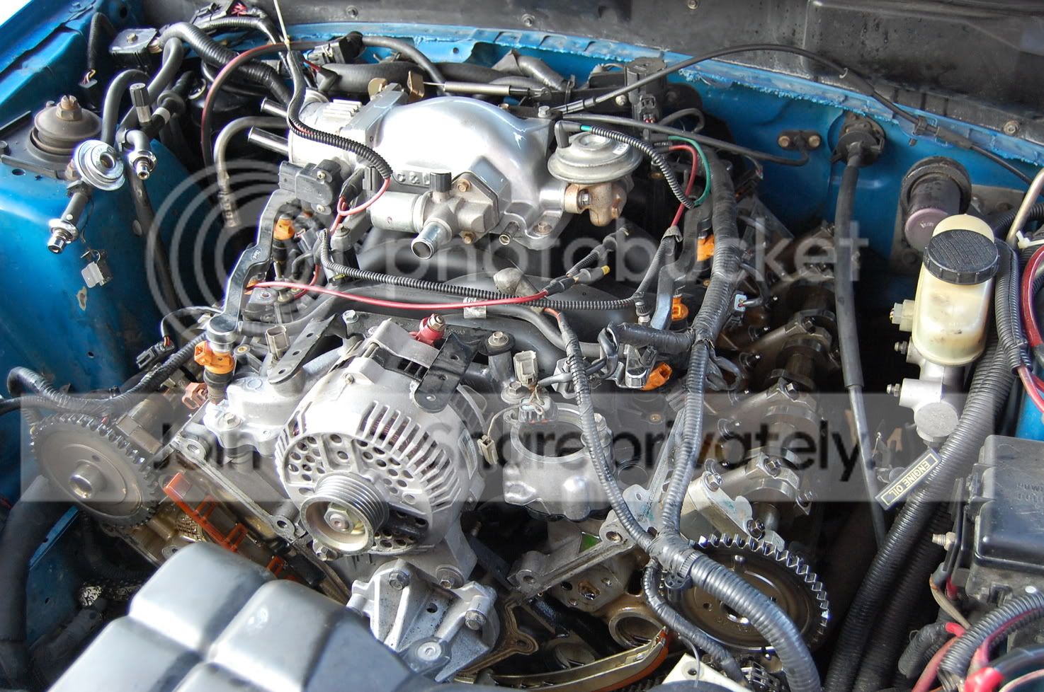 DSC_0555.jpg