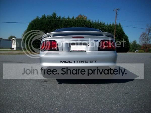 mustang3.jpg