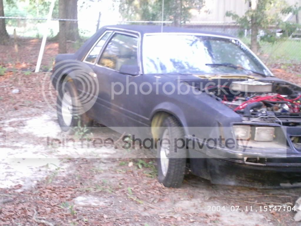 PHOT0052.jpg
