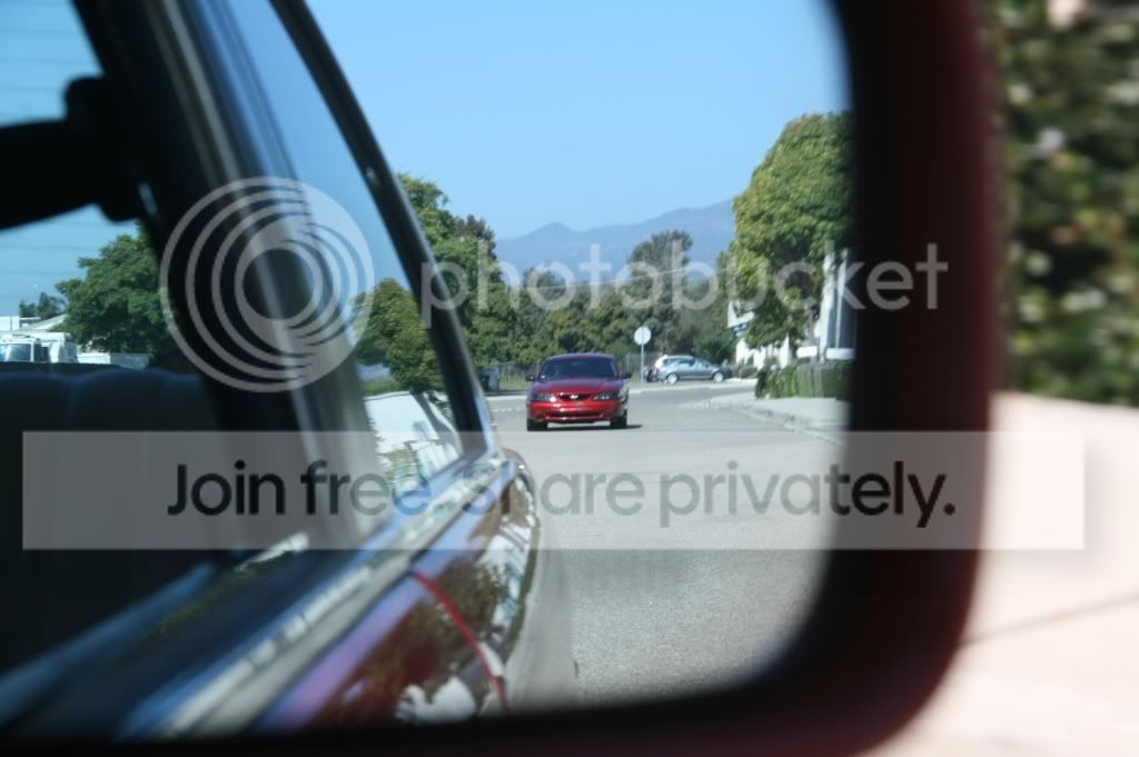 IMG_544311111.jpg