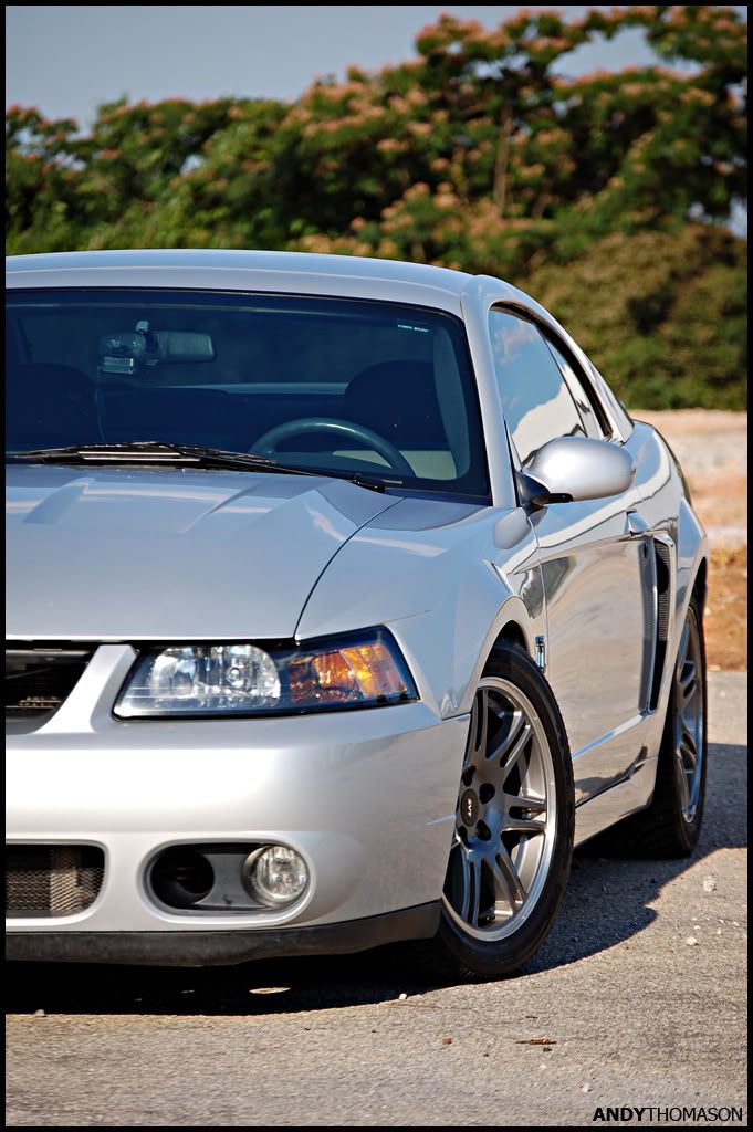 Mustangshoot10.jpg