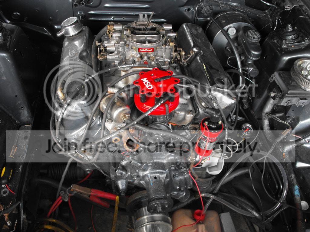 DSCF2555.jpg