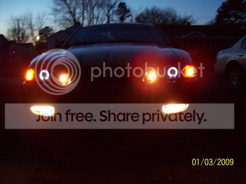 christmasandcar1309014.jpg