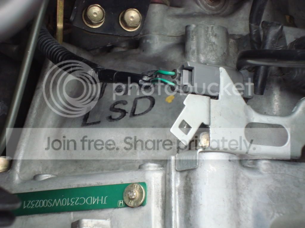 DSC00347.jpg