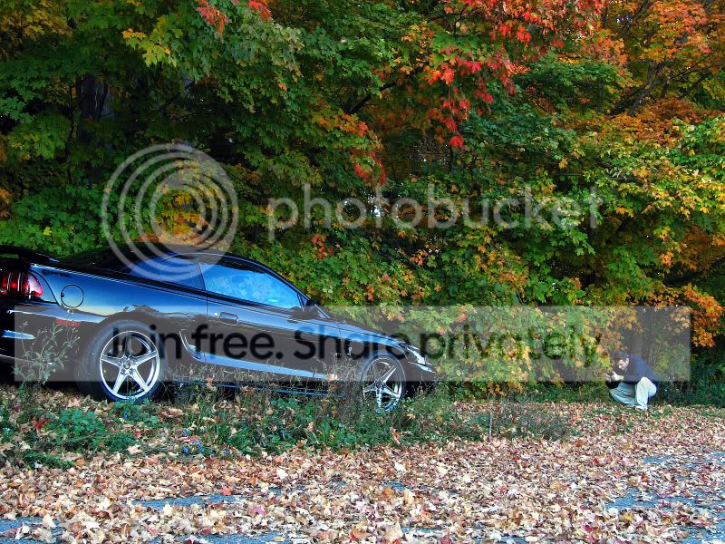 1995_Cobra_078_2.jpg