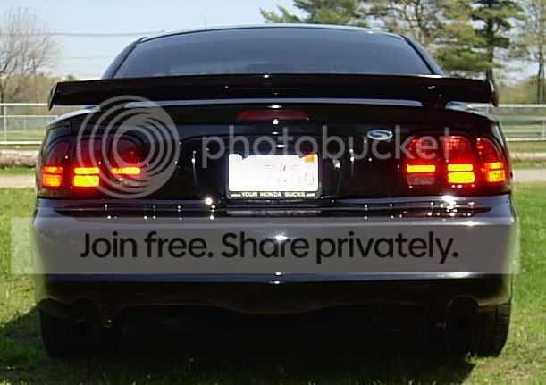 3833back2.jpg