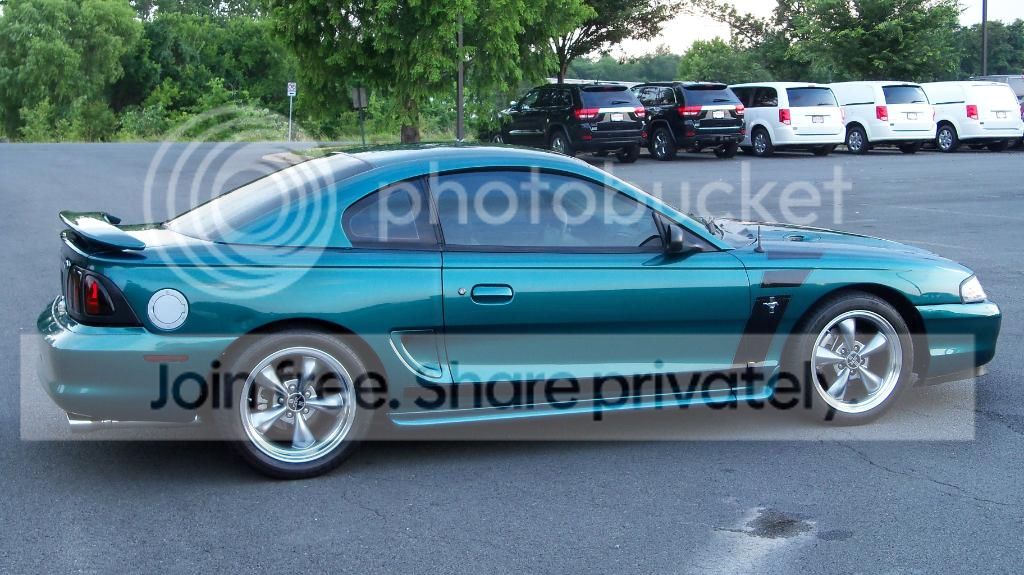 Stang052.jpg