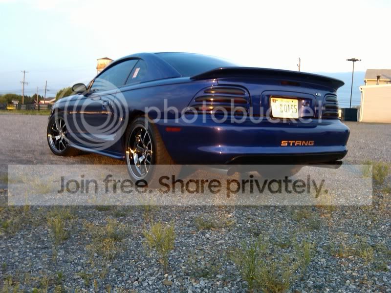 thewhip6.jpg