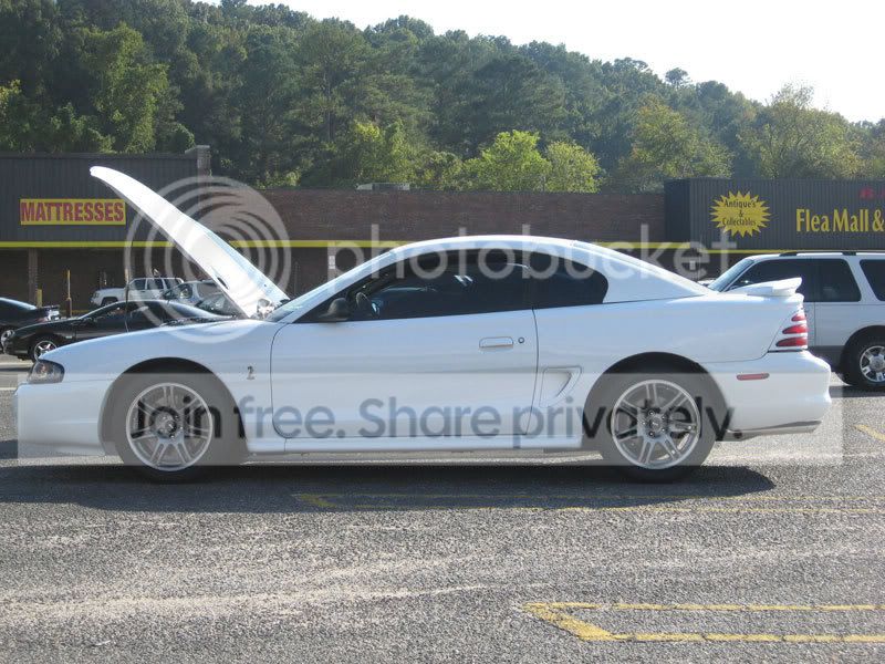 carshow1.jpg