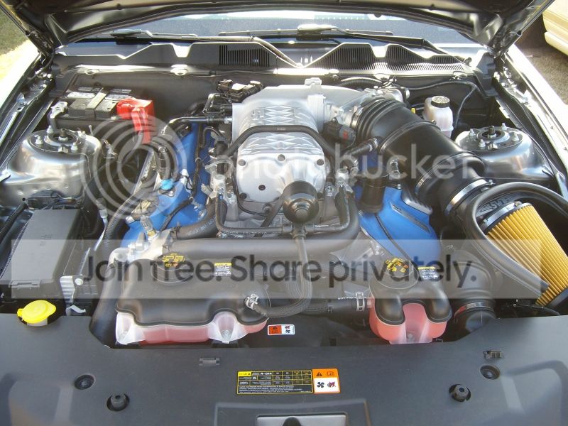 SANY1484.jpg