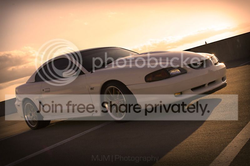 DSC_3222edit.jpg