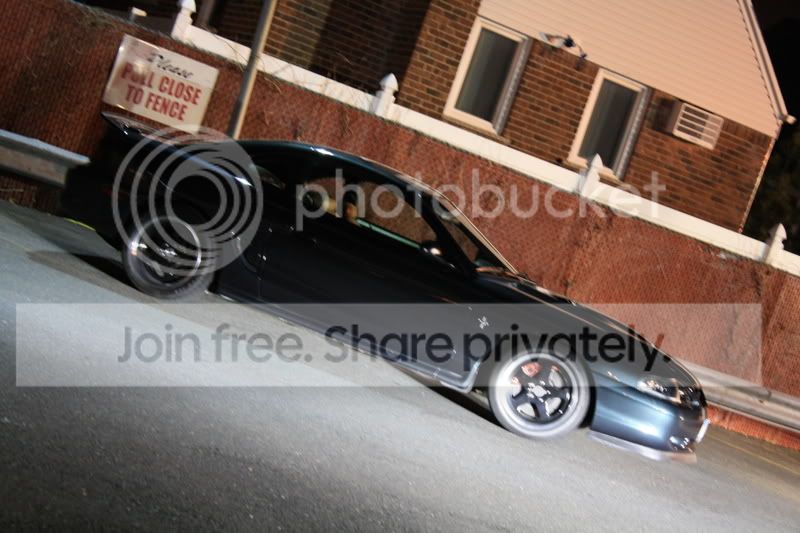 Mustangs2-20-09044.jpg