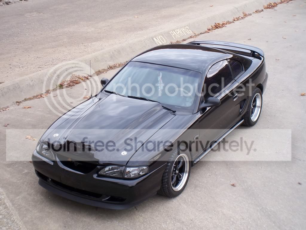 Picture153.jpg