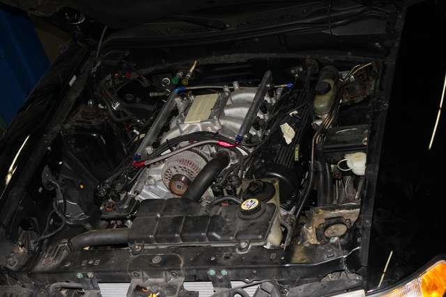 img2978c.jpg