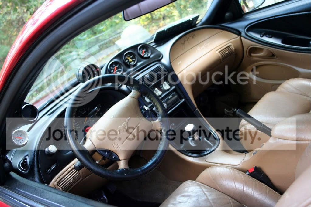 mustang1023.jpg