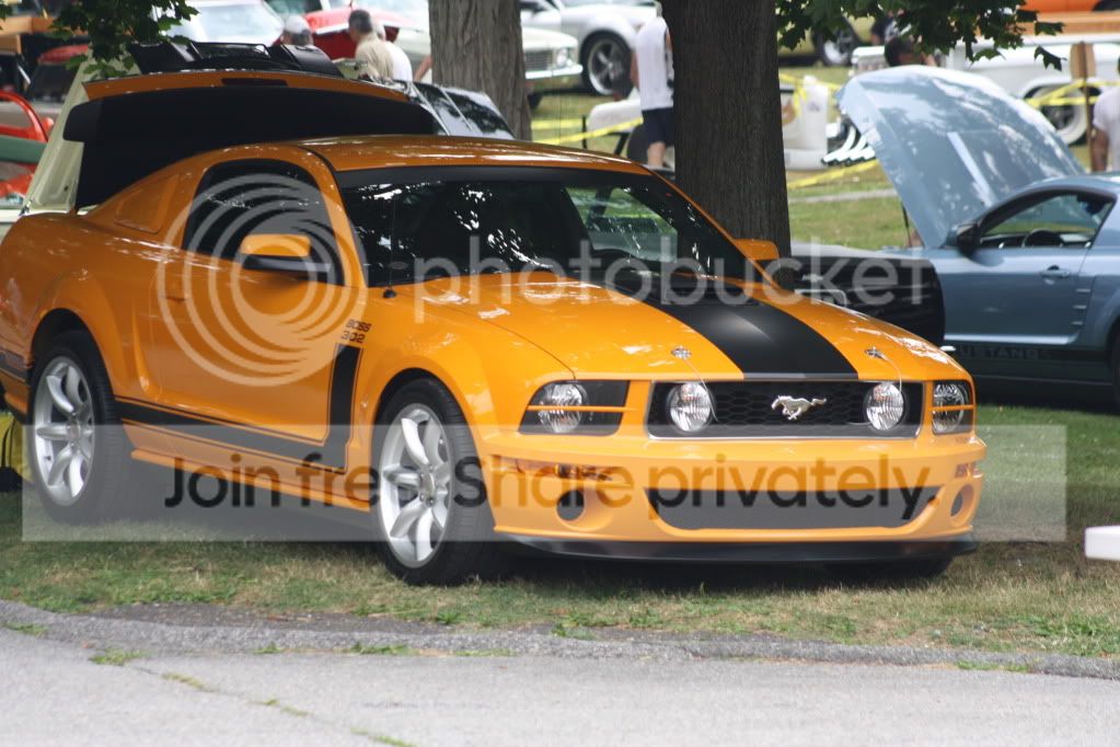 Picture037.jpg