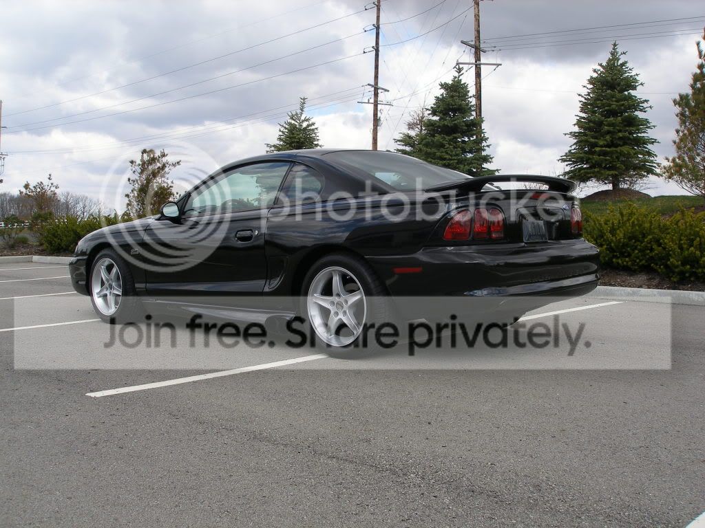 4511016.jpg