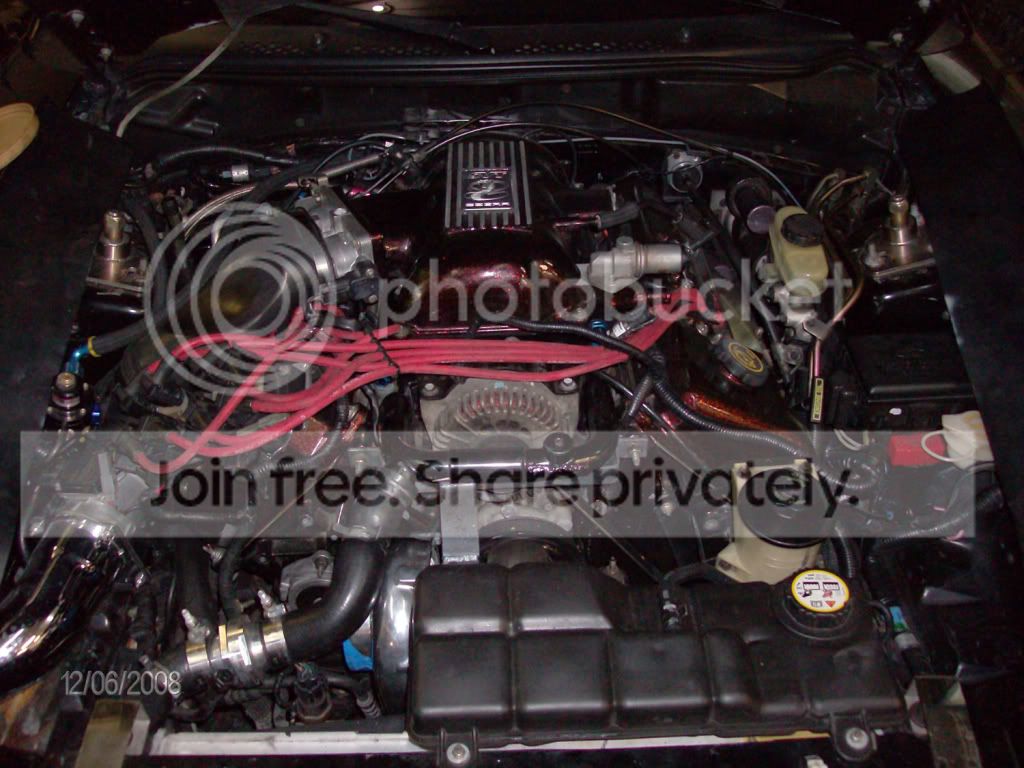 HPIM0128.jpg