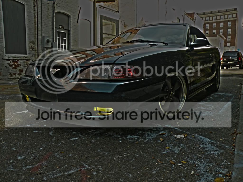 stang070hdr.jpg