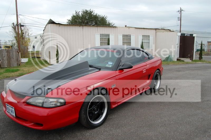 carpic17.jpg