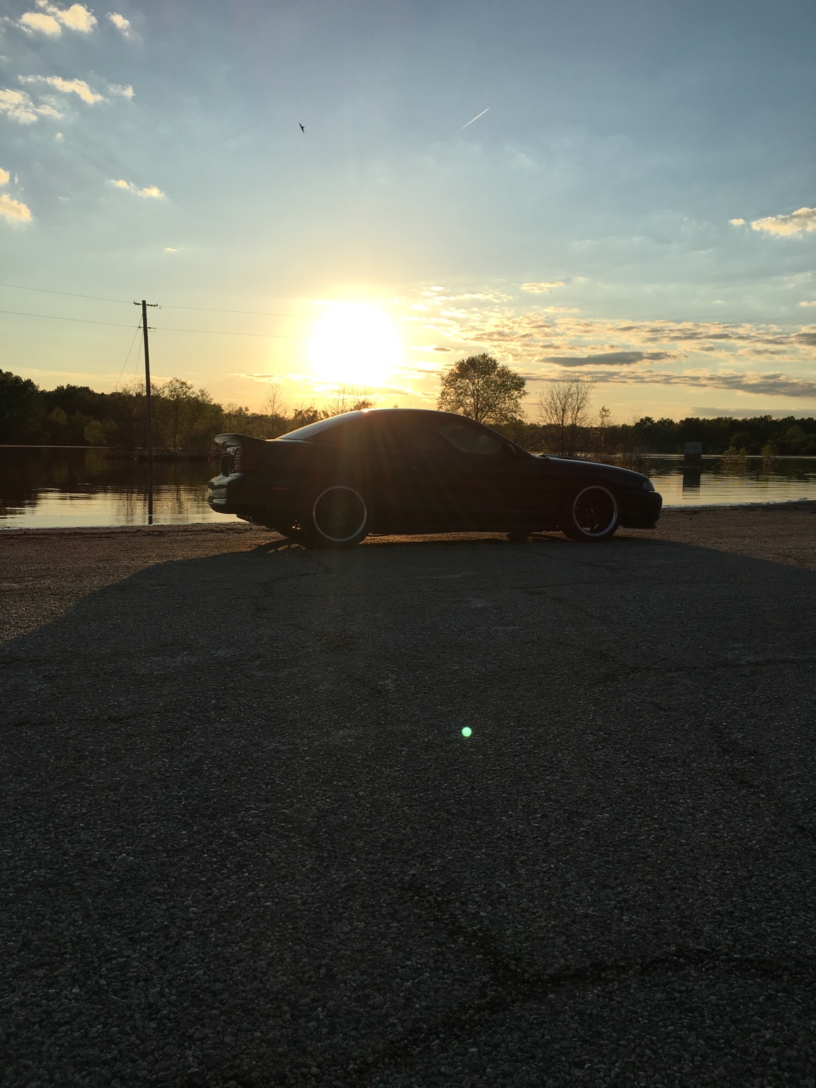 18c7e660dc40113e2aaa6ff702386218.jpg