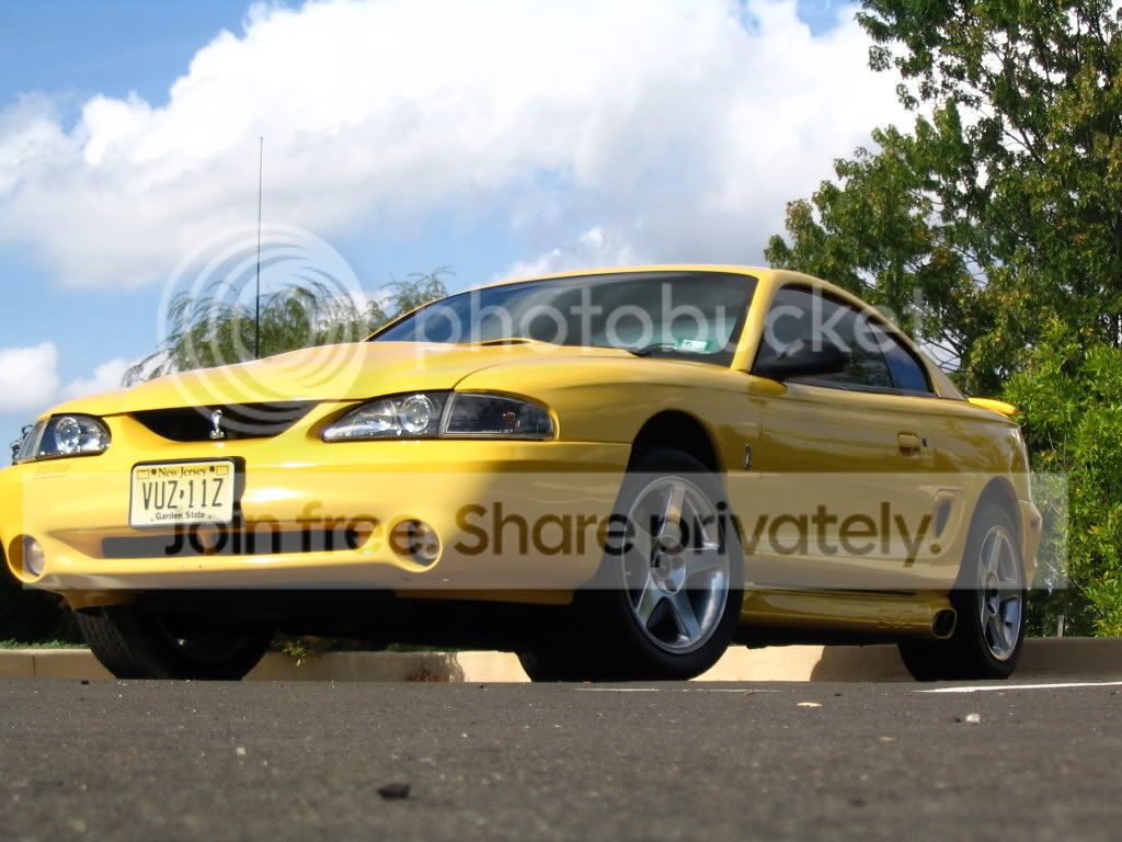 cobra087.jpg