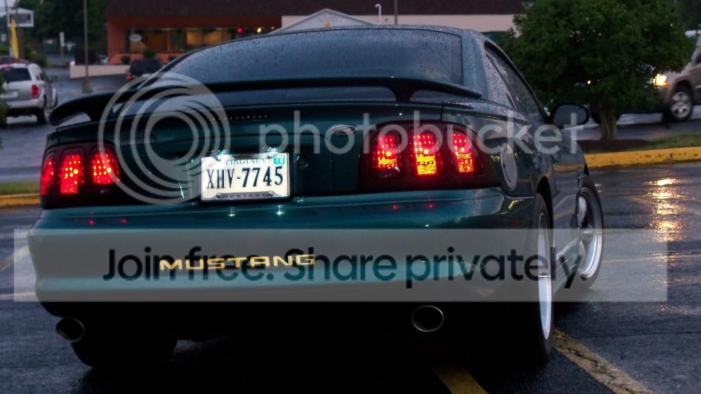 Stang084.jpg