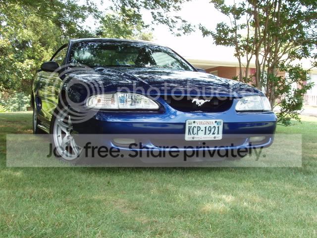 Mustang018.jpg