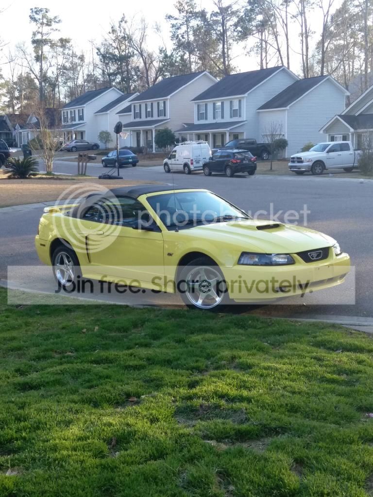 03gt.jpg
