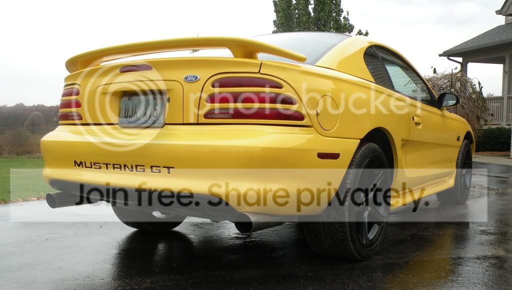 mymustangrear-blacksaleens.jpg