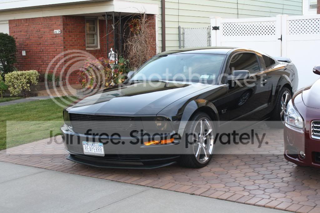 SALEENEXTREME020.jpg
