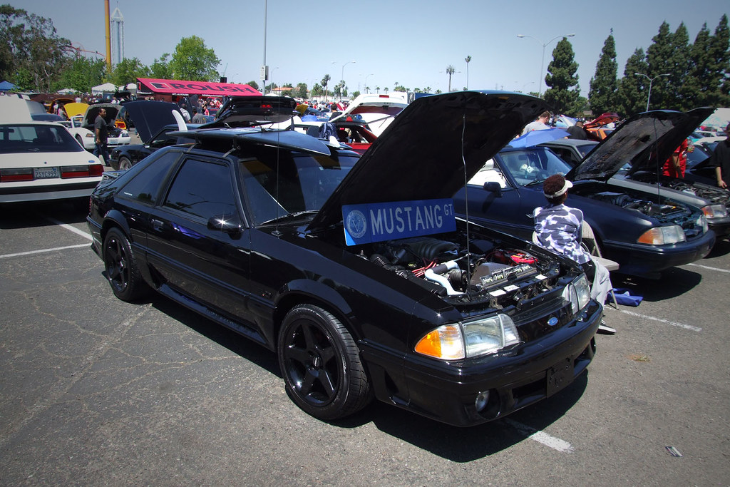 8670916902_0c4756fa6c_b.jpg