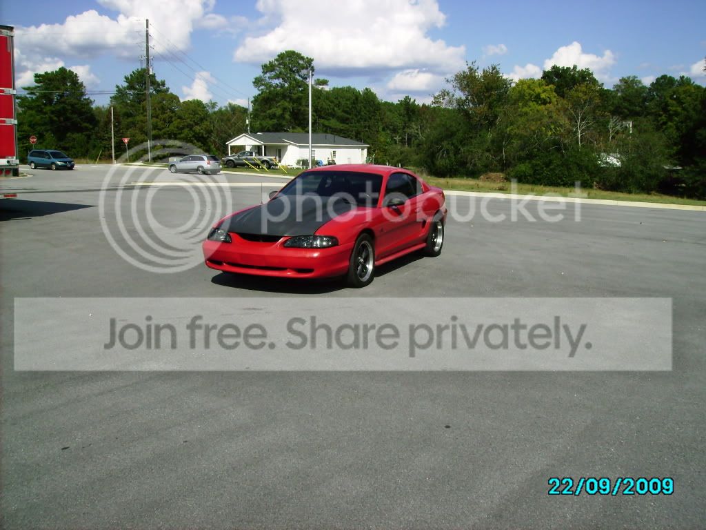 wingless3050.jpg