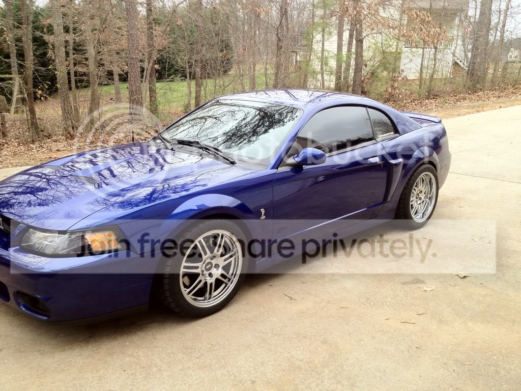 fd40b70e.jpg