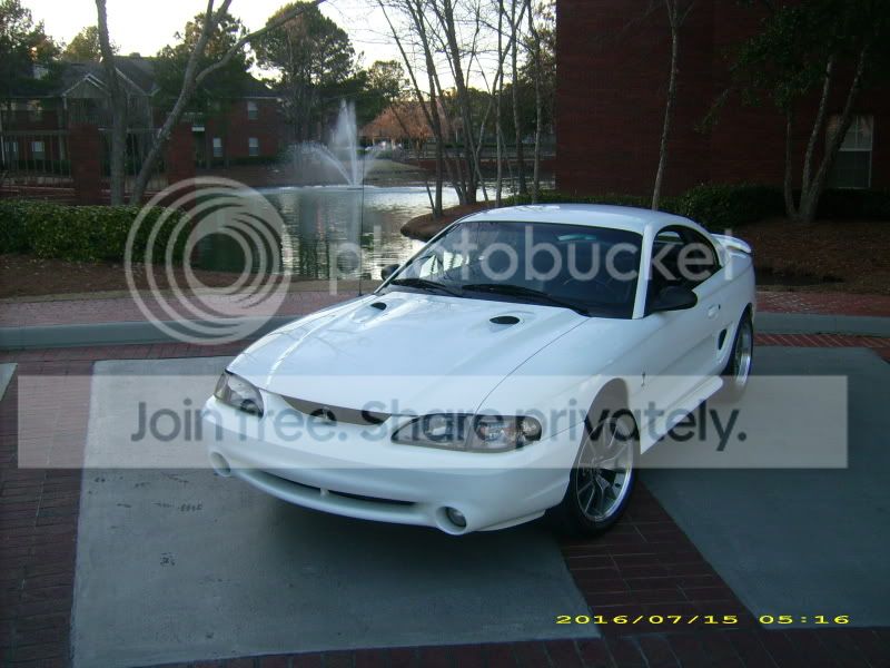 cobra003.jpg