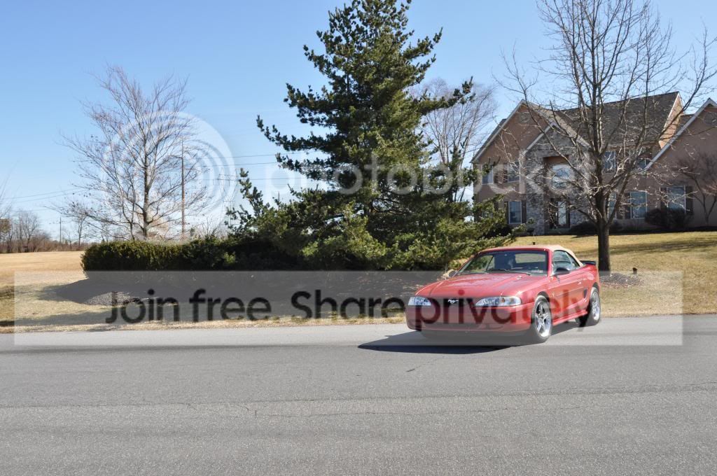 DSC_0004_zps1bfa4ff0.jpg
