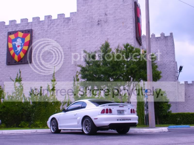 medieval-times2010001.jpg