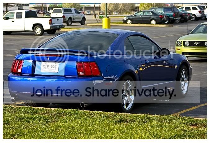 mustangbumpdel.jpg