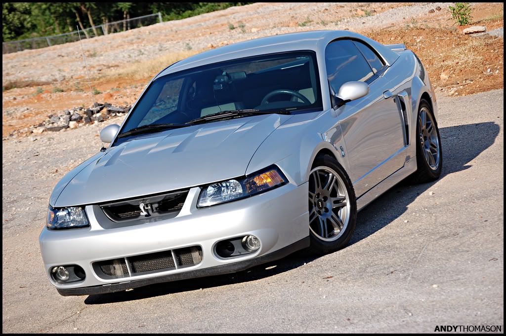 Mustangshoot11.jpg